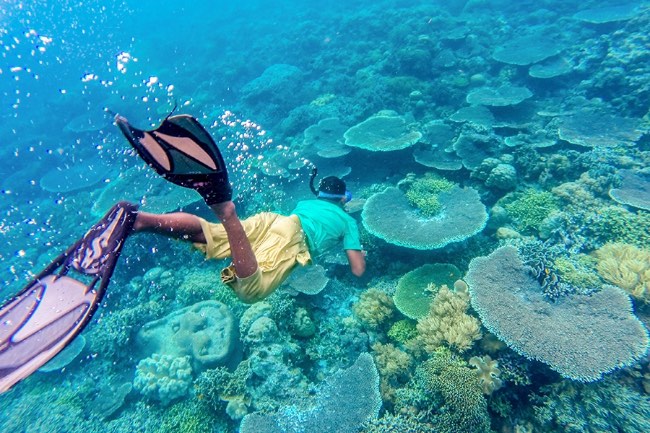 8 Tempat Wisata Wakatobi Paling Populer Standar Internasional