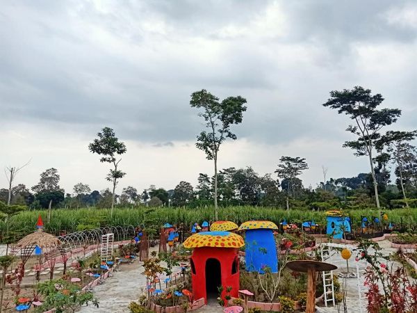 Daya Tarik Desa Wisata Kampung Jamur Kediri