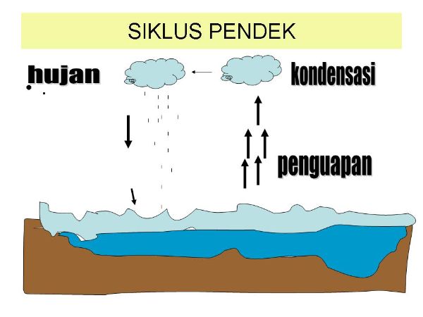 Jenis-jenis Siklus Hidrologi