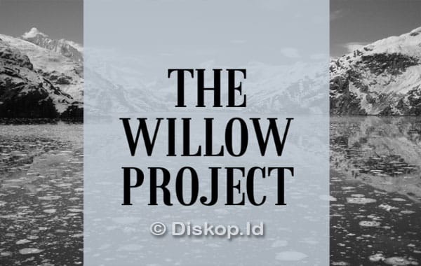 Willow-Project